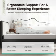 Avenco CozyNest 6 Twin Size Medium Supportive Innerspring Mattress