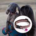thumbnail image 5 of Collar para perro de línea azul fina de Native Pup, 5 of 5