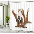 thumbnail image 4 of Ambesonne Boxer Dog Shower Curtain, Funny Playful Puppy Image, 69"Wx75"L, Pale Caramel Dark Brown, 4 of 4