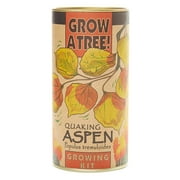 Quaking Aspen | Tree Seed Grow Kit | The Jonsteen Company