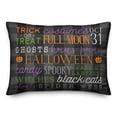 thumbnail image 2 of Creative Products Halloween Things 20 x 14 Indoor / Outdoor Pillow, 2 of 3