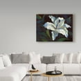 thumbnail image 3 of Trademark Fine Art 'White Lily Dark' Canvas Art by Hall Groat Ii, 3 of 3