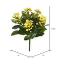 thumbnail image 3 of Vickerman 17.25" Artificial Yellow Kalanchoe Bush., 3 of 4
