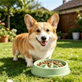 thumbnail image 4 of 1pack Slow Feeder Dog Bowls Anti-Choking Puzzle Dog Food Bowls Anti-Slip Interactive Feeding Slow down Eating Bloat Stop Maze Dishes for All Breeds,Green, 4 of 4