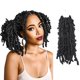 thumbnail image 1 of Niseyo Butterfly Locs Crochet Hair 12 pulgadas 1 paquete pre-bucle natural negro envejecido Locs Crochet Trenzas (1B), 1 of 1