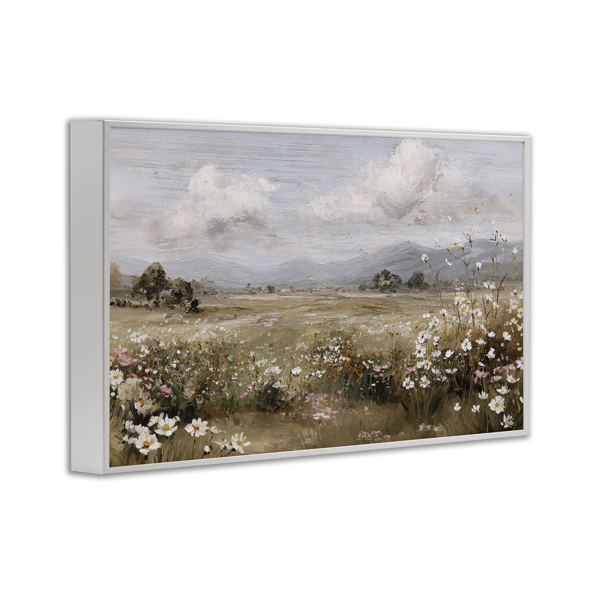 Stupell Industries Daisy Clusters in Field White Framed Giclee Art, design by Jacky Ngan
