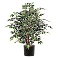 thumbnail image 1 of Vickerman 4' Artificial Variegated Extra Full in Black Pot, 1 of 2