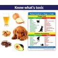 thumbnail image 4 of ZoCo: Poison Control for Dogs & Cats Refrigerator Magnet - 5 x 7 in., 4 of 5