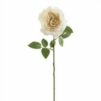 12 Pack: White Sophia Rose Stem by Ashland