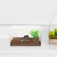 thumbnail image 4 of BESTYASH 1 Set Rectangular Reptile Container Assorted Color Clear Visibility Easy to Clean, 4 of 7