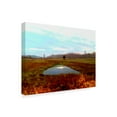 thumbnail image 2 of Trademark Fine Art 'Green Ponds I' Canvas Art by Danielle Harrington, 2 of 4