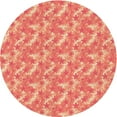 thumbnail image 1 of Ahgly Company Machine Washable Indoor Round Transitional Brown Sand Brown Area Rugs, 6' Round, 1 of 7