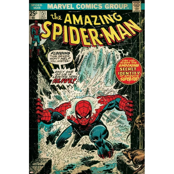 Marvel Comics Retro The Amazing Spider Man Comic Book Cover No