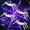 White, variant on Innens 11.8ft Halloween 144 LED Purple Spider Web Lights with 35" Giant Spider Light up Cobweb Halloween Decorations for Indoor Ourdoor Garden Yard Home Patio (Black, 1Pc)