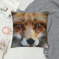 Creowell Fox Decorative Square Throw Pillow Covers Printed on Both