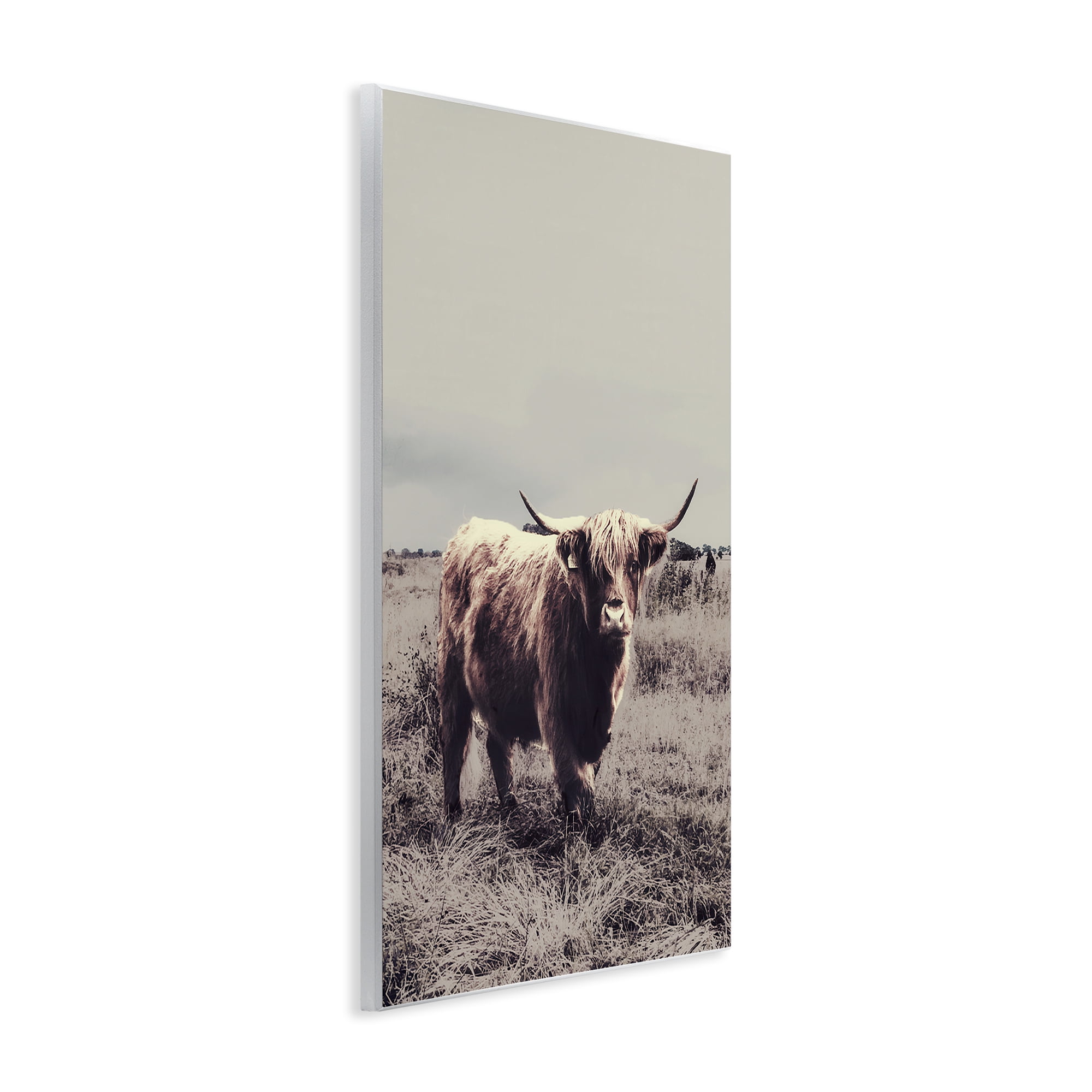 Stupell Industries Horned Cattle in Pasture Wall Plaque Art, design by SD Graphics Studio