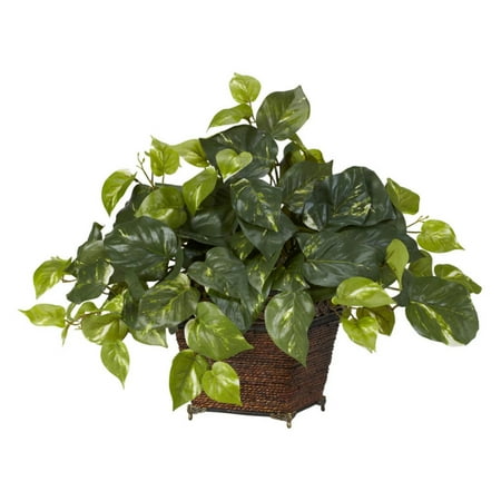 Pothos with Coiled Rope Planter Silk Plant