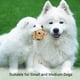 thumbnail image 4 of Juguetes para Perros que son Resistentes al Mordisco y Sirven para Morder y Afilar los Dientes., 4 of 5