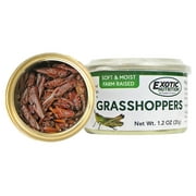Exotic Nutrition Canned Grasshoppers 35 g. (6 Pack)