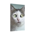 thumbnail image 2 of Kll Funny Cat Wall Plate,Gloss Finish,Standard Size 1 - 5" X 3", Polycarbonate Thermoplastic,Electric Receptacle Plug Covers, 2 of 8