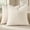 Cream, variant on Pack of 2 Faux Fur Sherpa Throw Pillow Covers, 18 x 18 Inch Soft Fuzzy Sheepskin Fleece Pillow Cases for Couch Bed Living Room Decoration
