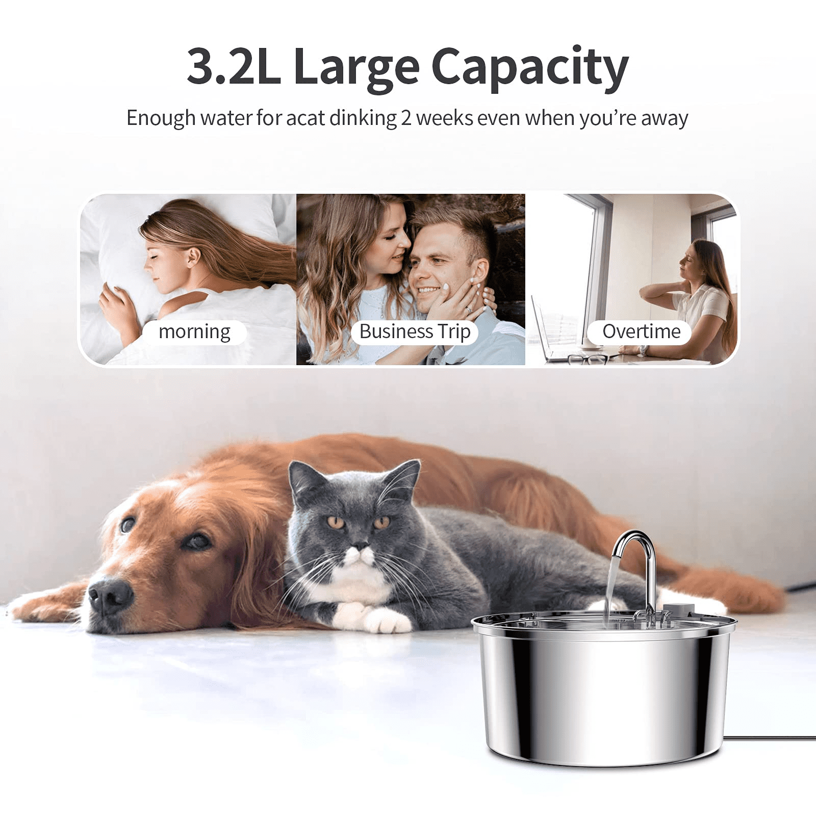 stainless steel pet feeder