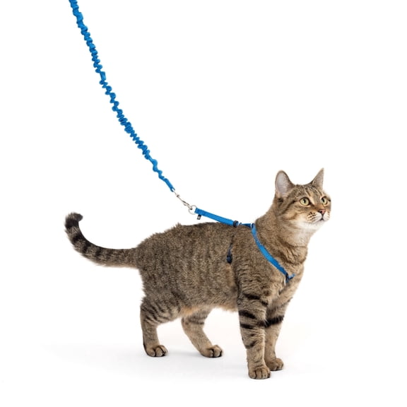 PetSafe Come With Me Kitty Harness and Bungee Leash