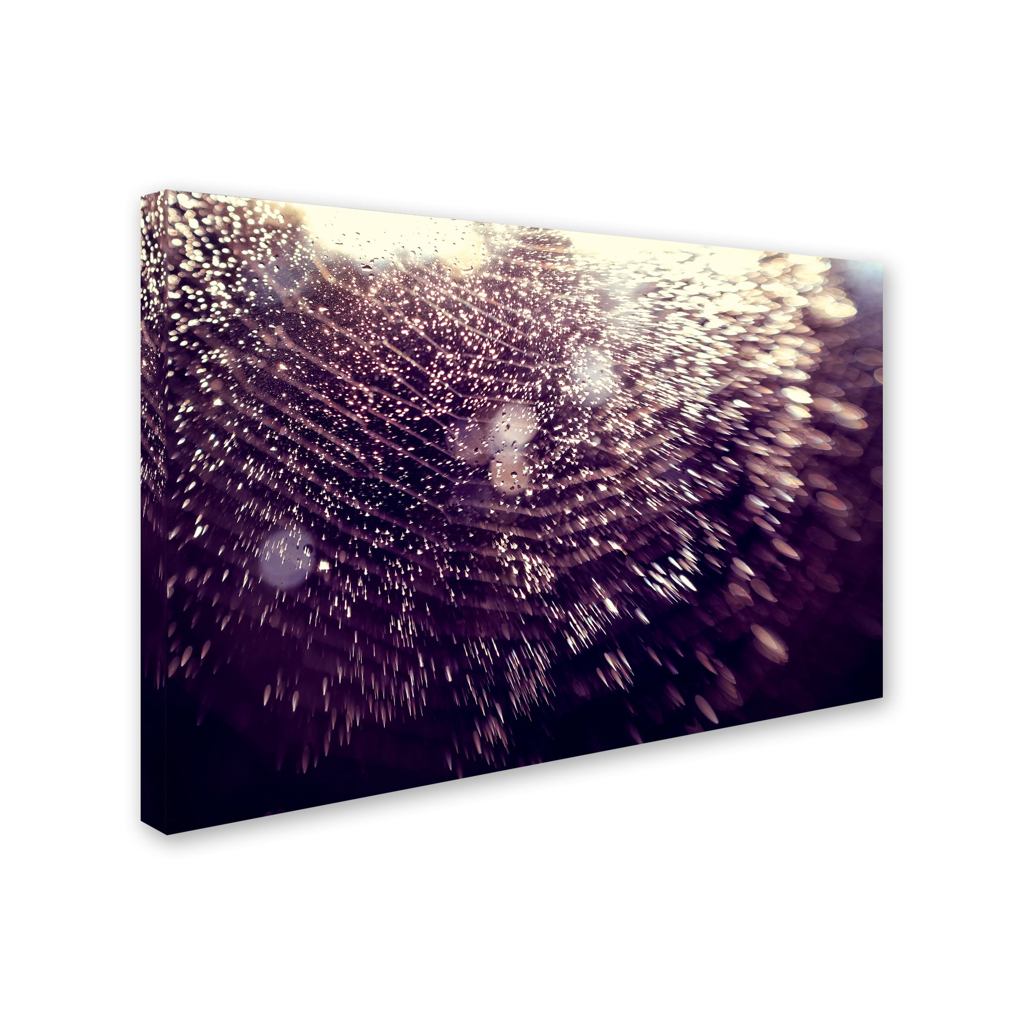 Trademark Fine Art Abstract Canvas Art ' Wishful Thinking ' by Beata Czyzowska Young