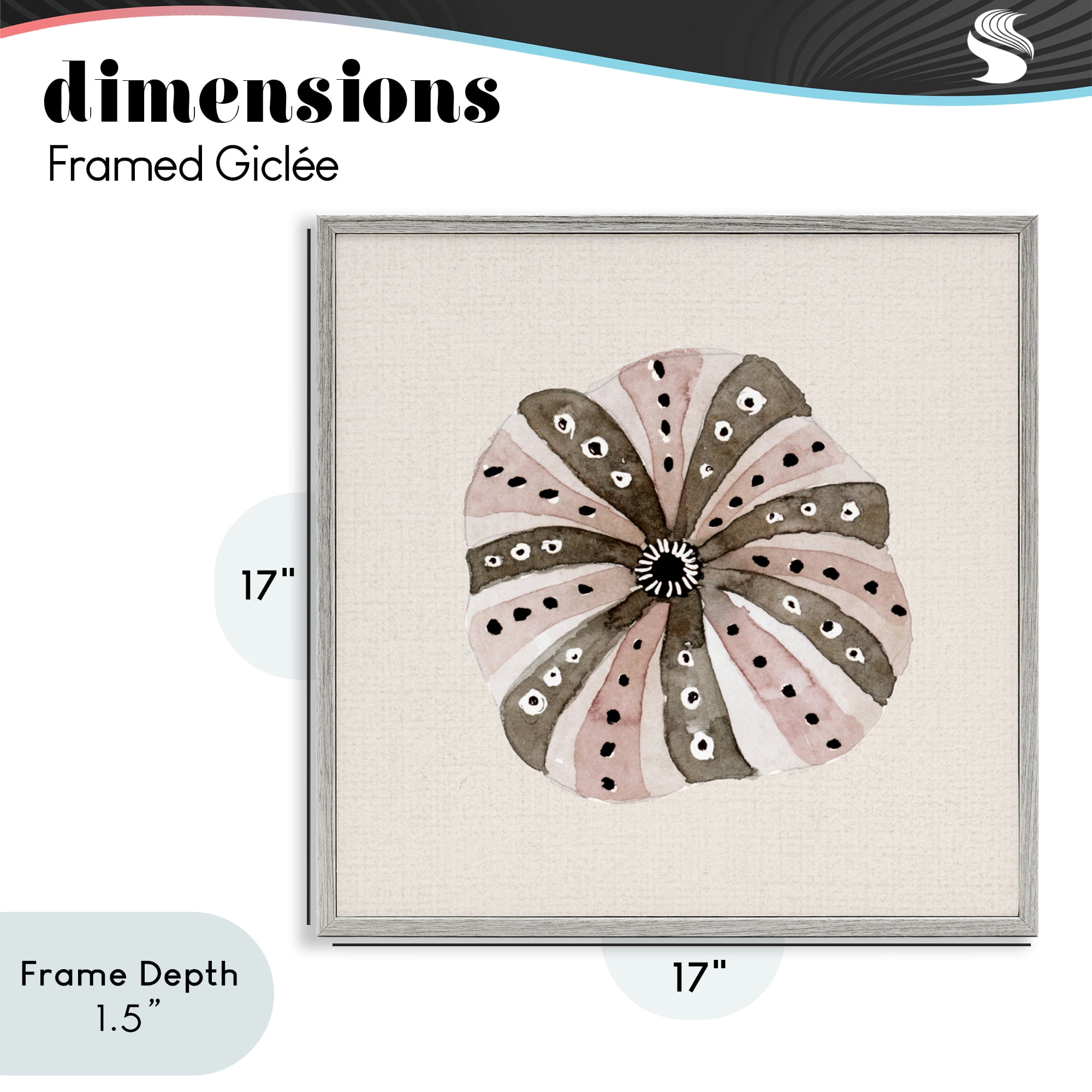 Stupell Industries Taupe Striped Sea Urchin Gray Framed Giclee Art, design by Lanie Loreth