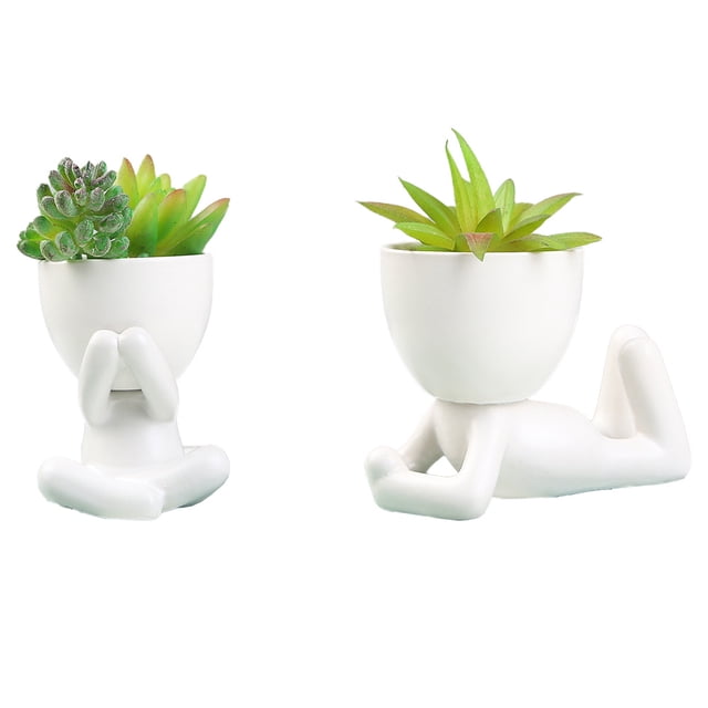 Lindos adornos vegetales: simulación de un lavabo de cerámica humanoide moderno en maceta carnosa