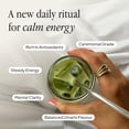 thumbnail image 3 of Morning Made Vanilla Flavored Ceremonial Grade Matcha Powder, Vanilla, 10.6oz (300g) Resealable Tin, 3 of 8