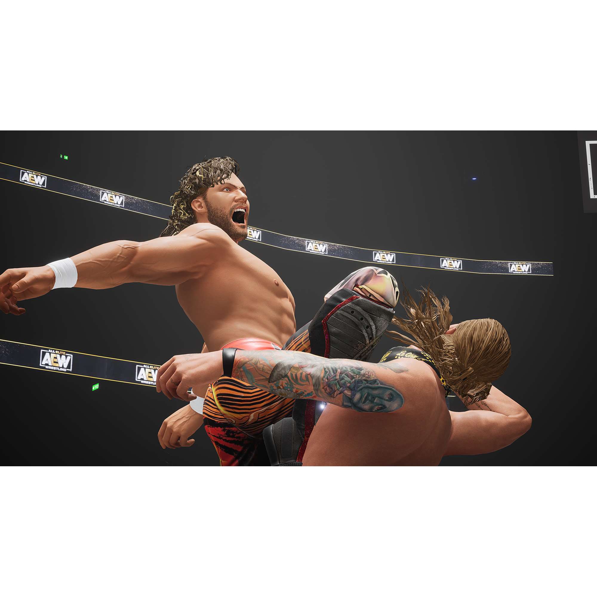 AEW: Fight Forever - PlayStation 4 - image 4 of 9
