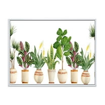 Designart 'Trio of Houseplants Sanseviera Snake Plants On White' Farmhouse Framed Canvas Wall Art Print