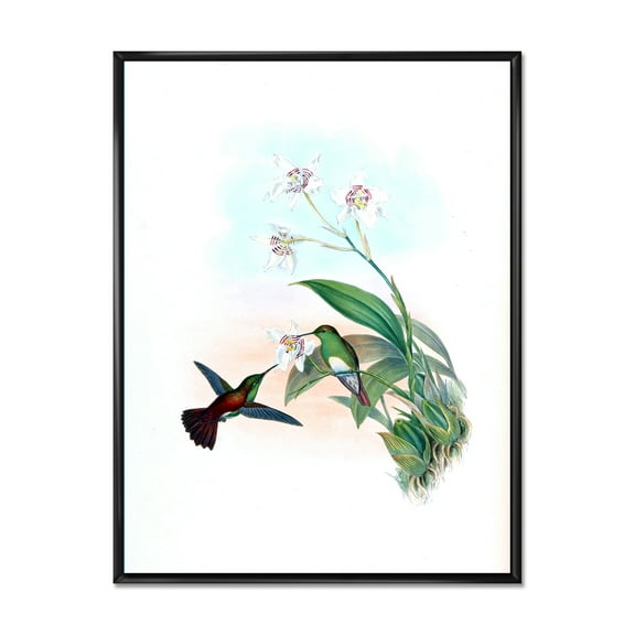 Designart 'Historic Hummingbird Flying To A Flower' Traditional Framed Canvas Wall Art Print