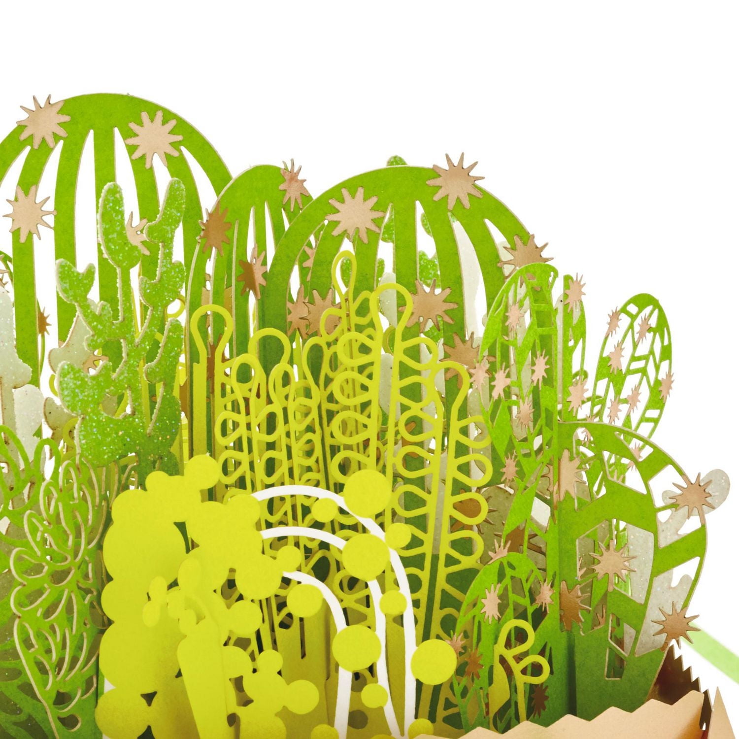Carte Signature de remerciement en relief – Paper Wonder de Hallmark – Plante succulente (Carte pour la Journée des infirmiers/infirmières, et pour les professeurs)