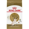 Royal Canin Breed Health Nutrition Siamese Dry Cat Food, 2.5 lb