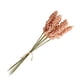 thumbnail image 5 of Matsuzay 1/6/10 Uds. Espigas de grano pequeñas frescas con simulación de hierba ramo de flores flores secas decoración pastoral natural para el hogar Flores artificiales rosa Matsuzay HA6566-01B, 5 of 6