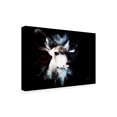 thumbnail image 2 of Trademark Fine Art 'Wild Explosion Collection - The Impala II' Canvas Art by Philippe Hugonnard, 2 of 3