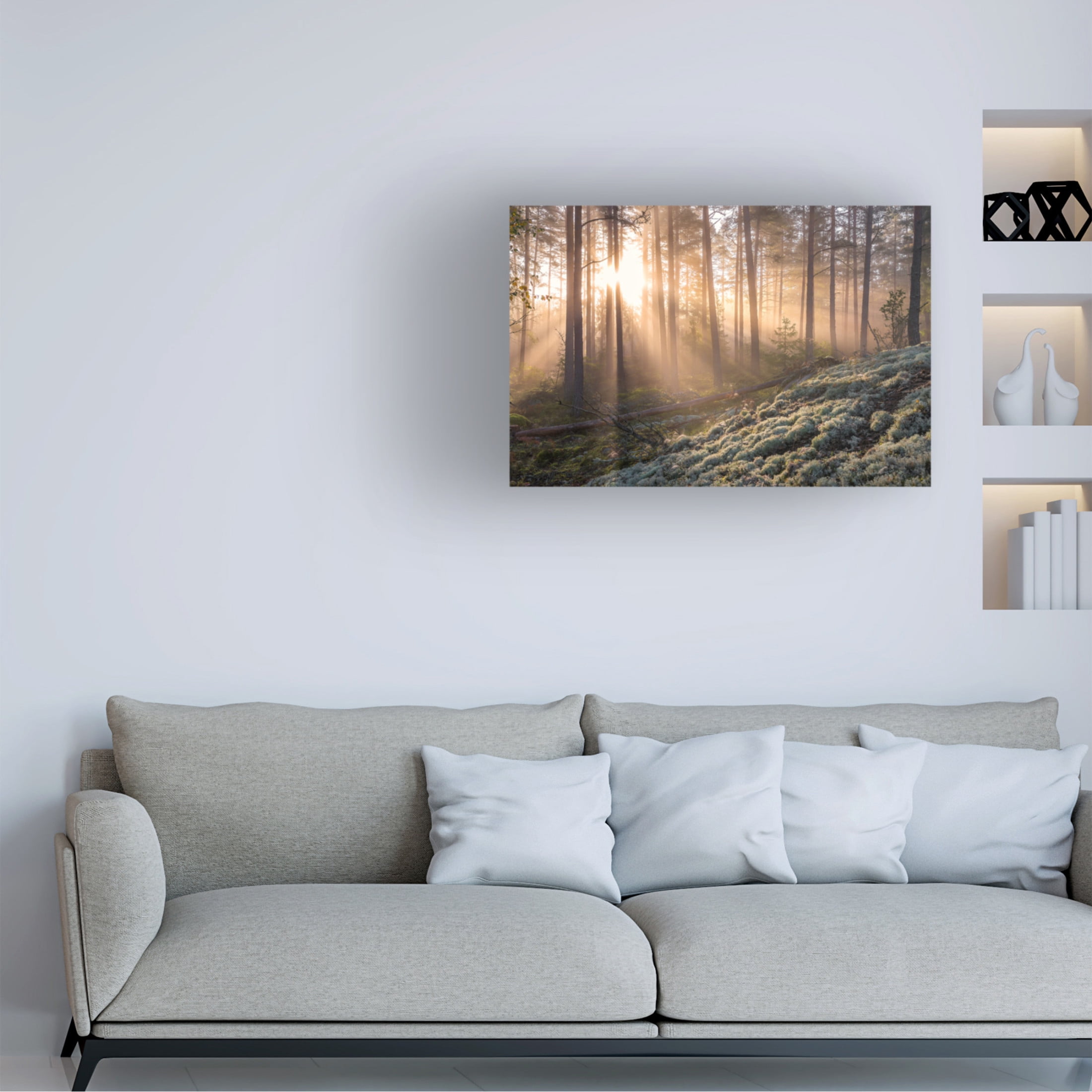 Canvas Wall Art - Christian Lindsten 'Fog In The Forest With White Moss In The Forground' Wall Art for Living Room, Bedroom, or Office Décor by Trademark Fine Art - 24 x 16 Inches
