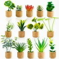 thumbnail image 3 of Plant Fridge Magnet, 14PCS Plastic Cute Refrigerator Magnet, Miniature Succulent Home Decor for Adults Kids, 3 of 10