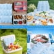 thumbnail image 2 of Packs de Hielo TarppedRock Secos para Envío de Alimentos Congelados 8 Hojas, 2 of 6