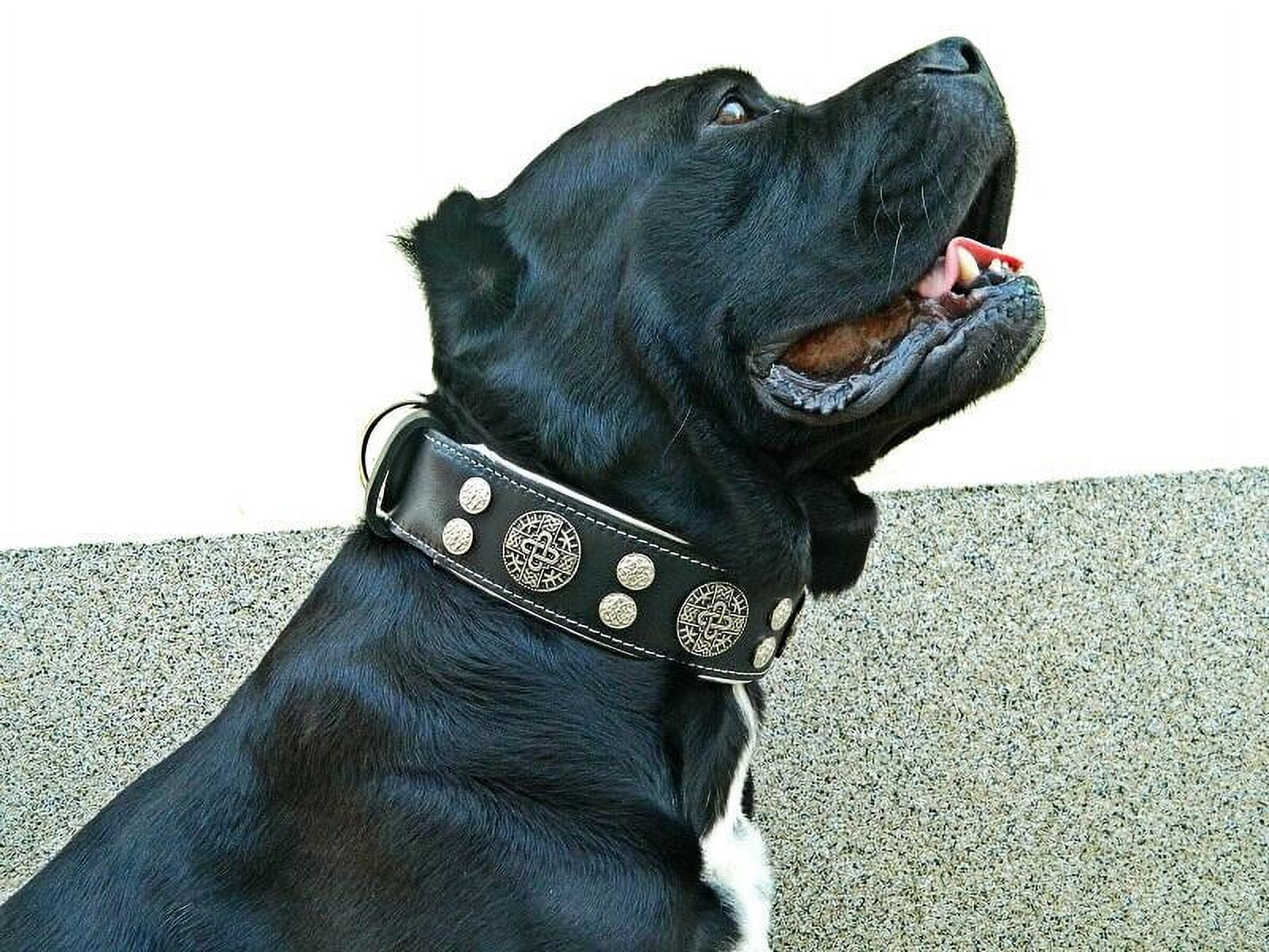 The Bestia "Hektor" Black Leather Dog Collar for Large Dog Breeds