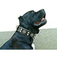 thumbnail image 3 of The Bestia "Hektor" Black Leather Dog Collar for Large Dog Breeds, 3 of 5