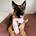 thumbnail image 3 of Pawty Animals Vibes & Chill Pack, 3 of 4