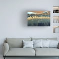 thumbnail image 2 of Tanja Ghirardini 'California Aerial' Canvas Art, 2 of 4