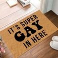 thumbnail image 2 of Clearance Colorful Gay Letter Doormats Funny Door Mats Outdoor Welcome Doormats Entrance Rug Farmhouse Decor Home Kitchen Floor Summer Door Mats Washable Low-Profile Inside Entry Doormats for Entryway, 2 of 4