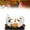 B, variant on Ghost Campfire Flickering Nightlight, 2024 Ghost Roasting S'mores At Campfire Nightlight, Faux Campfire Night Light Plug into Wall,Spooky Fire Marshmallow Night Light Halloween Gifts (1 Pack B)