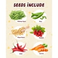 thumbnail image 2 of Kit de jardinería PLANTMEW Root Viewer Kids con 6 variedades de semillas, 2 of 7