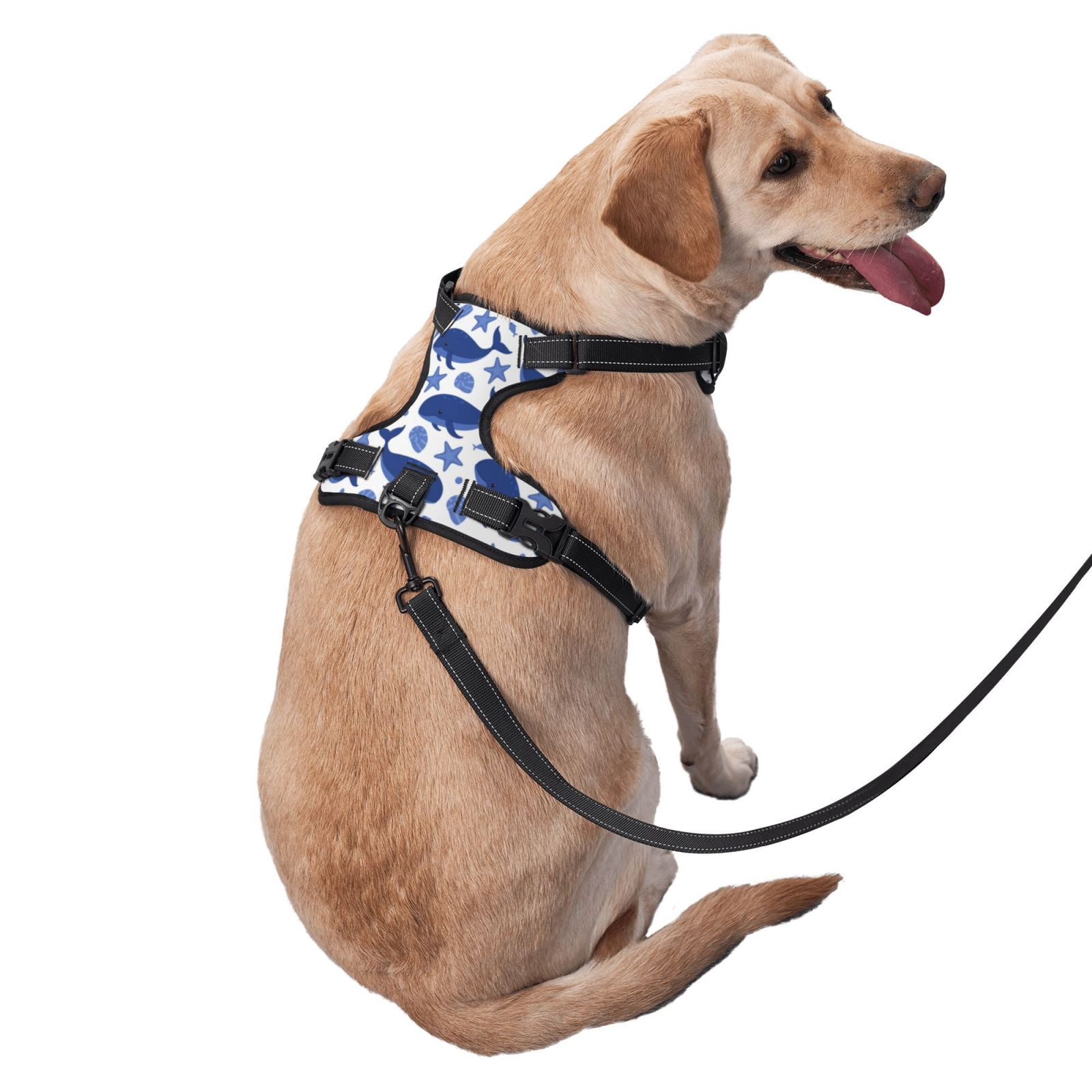 Fuzoiu Whale Print Reflective Dog Harness,Adjustable, Breathable Pet Vest,Dog Harness No Pull,No Choke Pet Vest for Small, Medium, and Large Dogs-Small