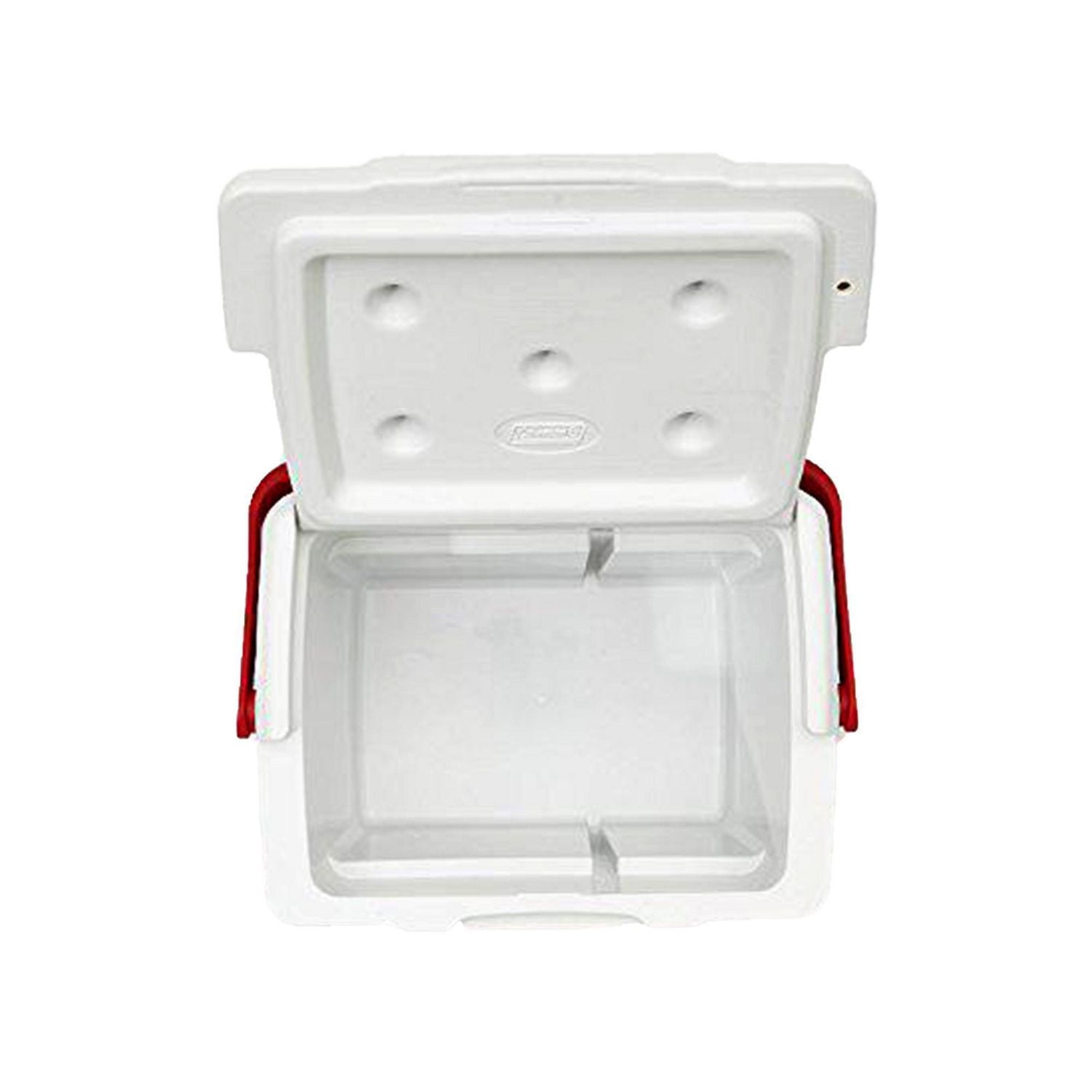 Coleman 9 Quart Excursion Cooler, 9 Qt/8.5 L